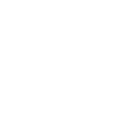 vibia